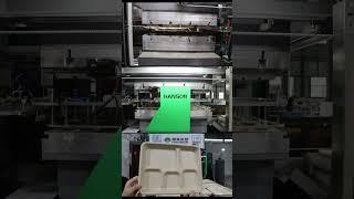 Hanson pulp molding tableware package machine for plate.