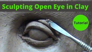 Sculpting open eye in a water based clay. Visual tutorial