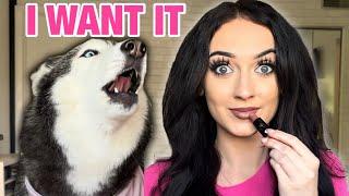 My Husky DEMANDS Her Own MakeUp! (SHE ARGUES) 