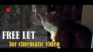 FREE CINEMATIC LUT for premiere pro and sony vegas