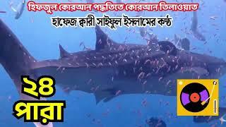 Hifzul Quran Tilawat 24 Para | হিফজুল কোরআন | Saiful Islam Parves Quran Tilawat | ANI TV 100K