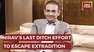 Nirav Modi Seeks Political Assylum Day After UK High Court Orders His Extradition To India| PNB Scam