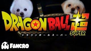 Dragon Ball Super - Cover Perruno (Opening 2)