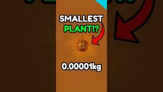  i FOUND the SMALLEST FRUIT in Grow a Garden!