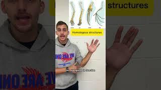 Evidence of Evolution (AP Biology 7.6) in 58 seconds! #apbio #apbiology #collegebiology #evolution