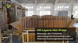 50 Layers Hydraulic Plywood Hot Press Machine/50 layers plywood hydraulic press machine specs