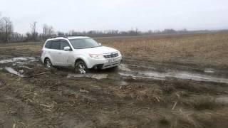 Subaru forester 2010 mud