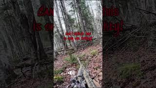 This will get your heart pumping!  #turkeyhunting #gobbler #hunt #fueledbynature #outdoors #shorts