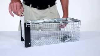 How to Set: Havahart® X-Small 1-Door Trap Model #0745 for Chipmunks, Rats & Squirrels