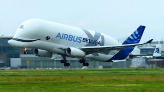 Plane Spotting at Bremen Airport: Airbus A330-700L "Beluga XL" and more! (2021)