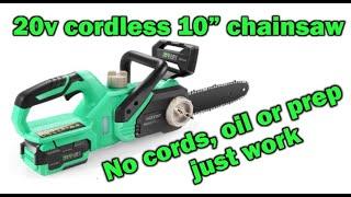 20v cordless chainsaw demo