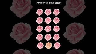 Find the odd one out | 99 percent don't get it.