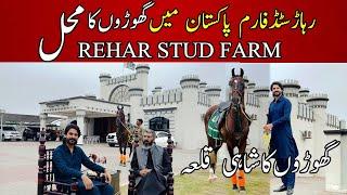 Rehar Stud Farm || Hassan Rehar Exclusive Interview پاکستان کےمشہور برینڈ کےمالک نےگھوڑا فارم بنالیا