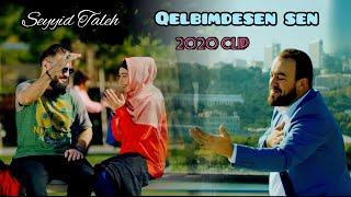 Seyyid Taleh - Qelbimdesen sen - 2019 (Official Video)