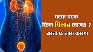 पटक–पटक किन पिसाब लाग्छ ? यस्तो छ खास कारण | Frequent Urination Home Remedies | Nepali Health Tips