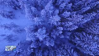 Valaam motives - Piece for Chamber Ensemble - Original Composition by Raushan Kali