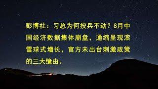 彭博社：习总为何按兵不动？8月中国经济数据集体崩盘，通缩呈现滚雪球式增长，官方未出台刺激政策的三大缘由。