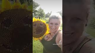 a little sunshine in your life                          Moonlight hill flower farm llc