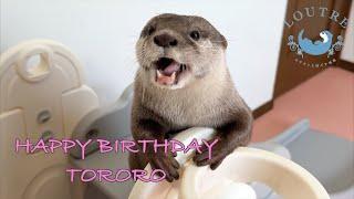 Otter Tororo with A Big Present for His 3rd Birthday!