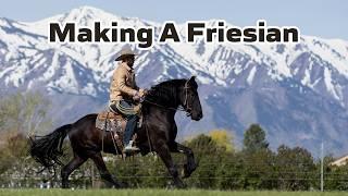 Making a Horse | 3 Year Old Friesian Mare Edition
