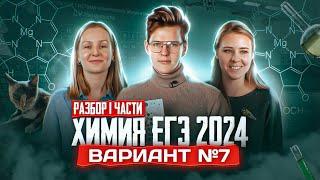 Вариант №7 ЕГЭ по ХИМИИ 2024, Степенин и Дацук | Анна, Влад, Варя и Катя с химфака МГУ