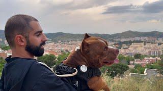 Hiking with my Dog in Barcelona