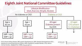 A Focus Series on Hypertension: Therapeutic Objectives