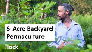 He Turned His Parent's 6-ACRE BACKYARD Into a PERMACULTURE Paradise — Ep. 050