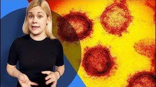 استعراض CNET Coronavirus explained