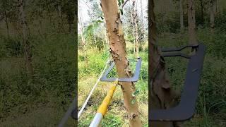 Effortless Tree Tying，The Genius Rope-Threading Tool.