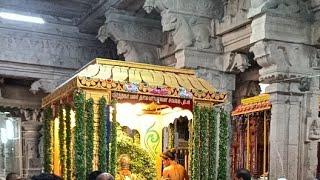 LIVE Nellaiappar Temple நெல்லையப்பர் கோவில் தாமிரசபாபதி -  சிவகாமிசுந்தரி அம்மை பச்சை சாத்தி