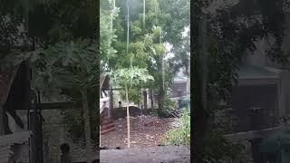 Ulan #ulan #fypyoutube #lipadblogtv #tagulan #rainnyday #nuevaecija #sanjosecitynuevaecija