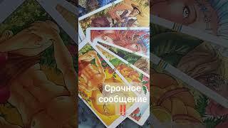 Срочно! что нужно знать #срочнаяинформация #таро #тарорасклады #tarot #чтобудет #таролог