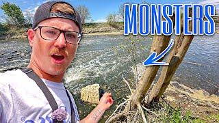 I CAN'T BELIEVE The Size Of These SPILLWAY FREAKS!!! (Biggest I've Ever Seen)