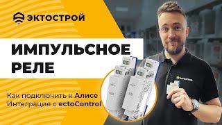 Импульсное реле для управления освещением. Как подключить к ectoControl и Алисе.