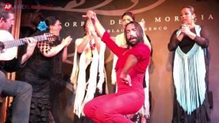 Baile Flamenco: Eduardo Guerrero por bulerías de Cádiz