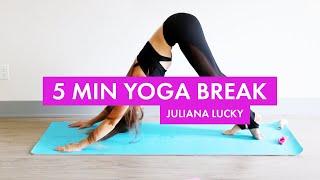 5 Min Yoga Break | Everyday Yoga Practice