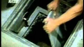 Барсук_wmv v9.wmv