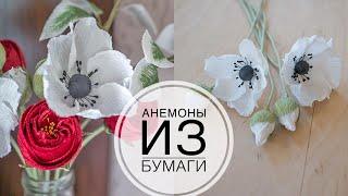 Paper anemones or poppies / Анемоны или мак из бумаги /  DIY Tsvoric