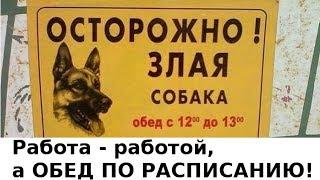 [мини отрывок] Умная Среда: Скрытая диета наносит ответный удар!