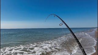 Surf Fishing Crystal Clear Waters for Early Fall Run Action