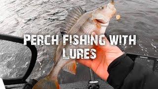 Perch fishing with Lures - A fish every cast!