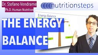 The Energy Balance in Nutrition