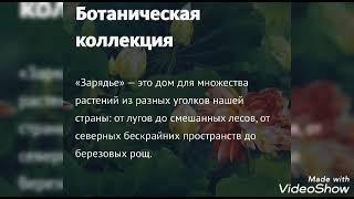 Окружающий мир