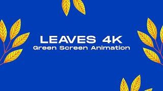 High Quality 4K Leaf Animation for Your Projects