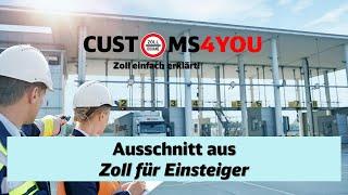 Ausschnitt aus dem Kurs Zoll für Einsteiger mit Head of Customs Österreich - Florian Heidfogel