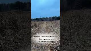 Движение - самый простой и бесплатный способ сдвинуть застой ЦИ