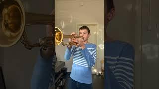 Всегда смазывайте клапана перед уроком #trumpet #scale #fail #труба