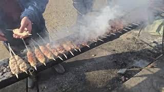 shashlik,baliq xalisa narxlari