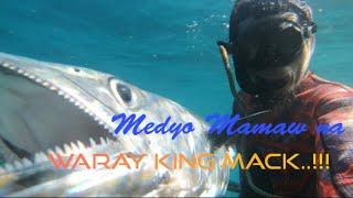 Boronggan Samar Spearfishing Escapade Episode 2: My 2nd Mack for 2024 and Unicorn fishes